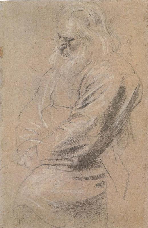 Peter Paul Rubens Sitting  old man France oil painting art